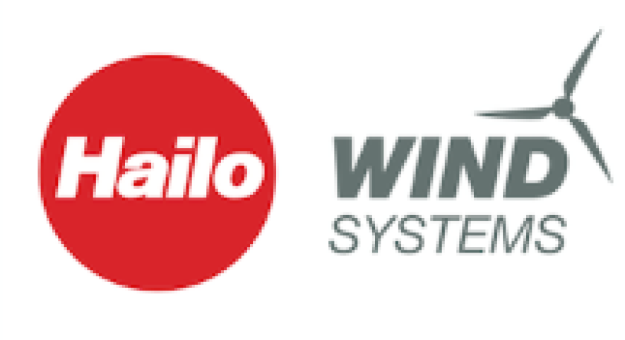 Hailo Wins Systems Logo